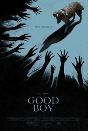 Good Boy 2025 film poster