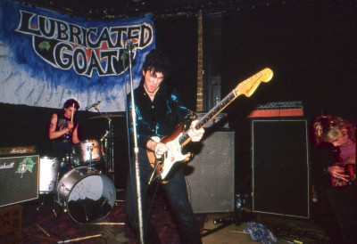 Stu web